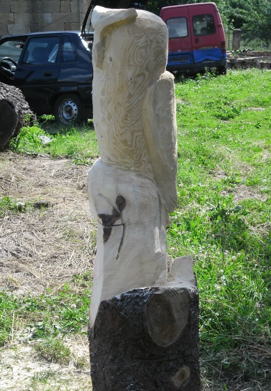 Sova IV. (9)