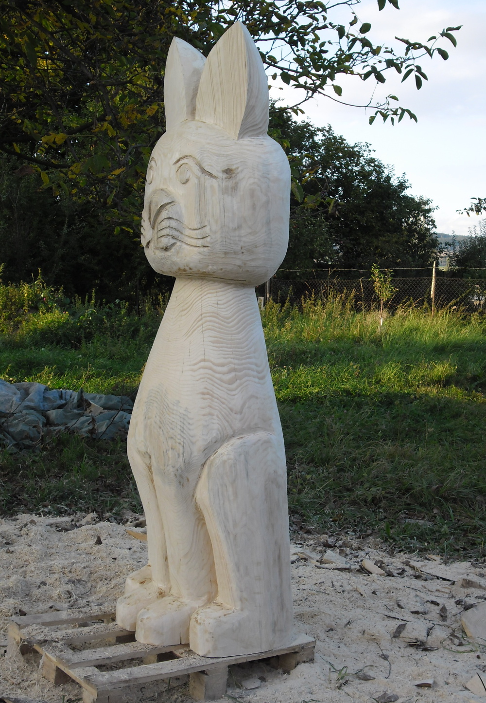 2012.09. -  Kočička (14)