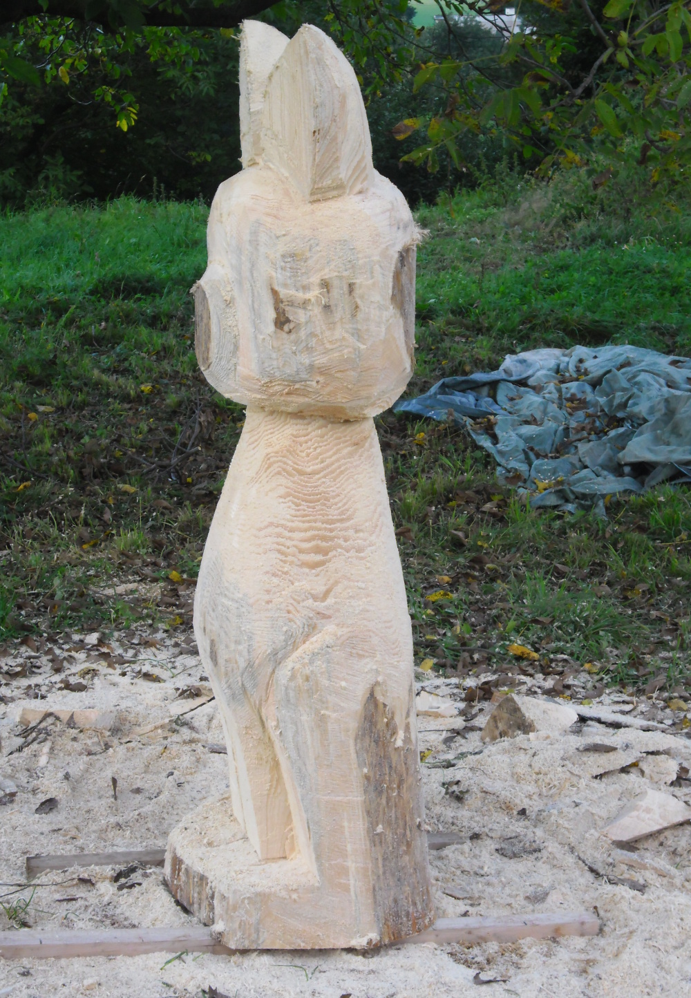 2012.09. -  Kočička (4)
