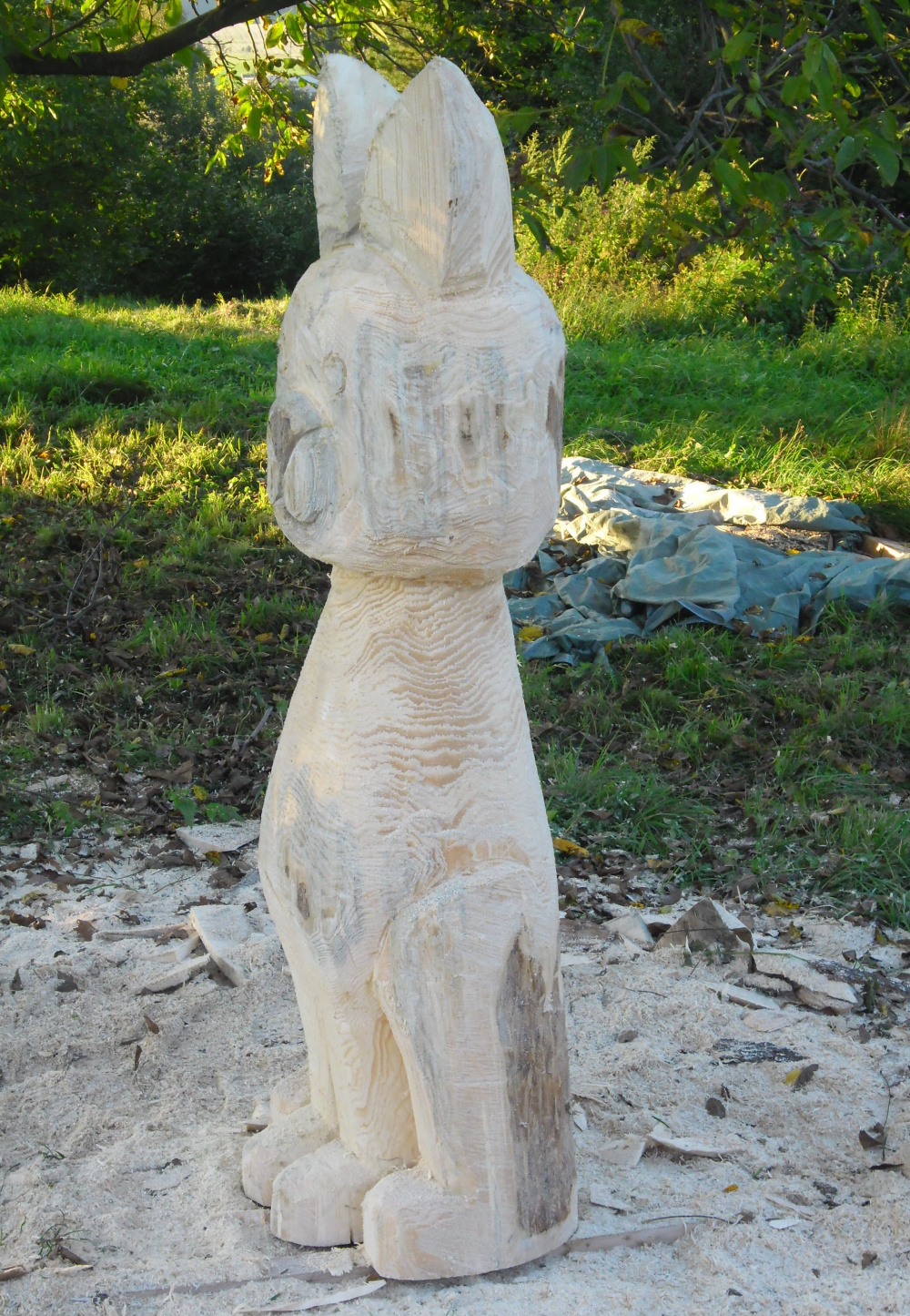 2012.09. -  Kočička (8)
