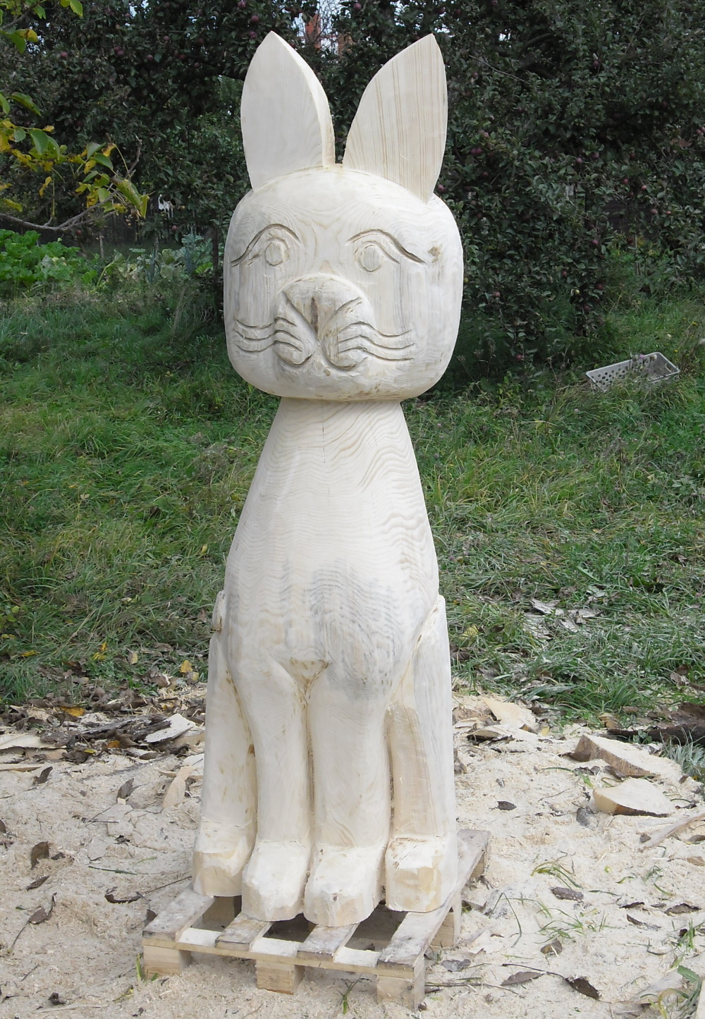 2012.09. -  Kočička (10)