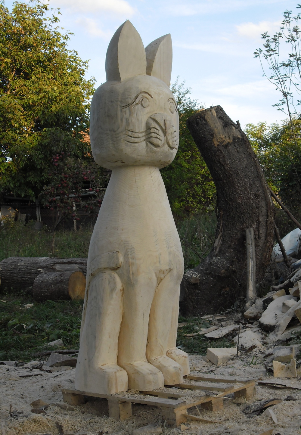 2012.09. -  Kočička (13)
