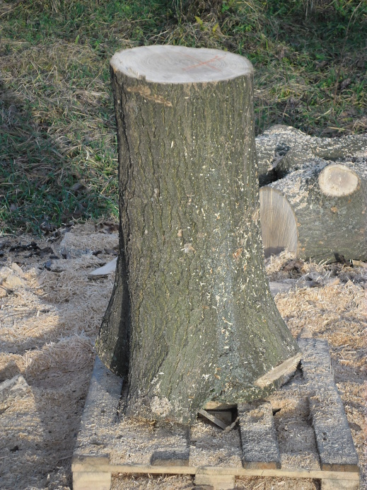 2012.11. - Kočička II. (1)