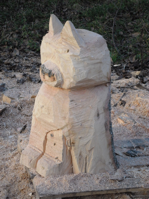 2012.11. - Kočička II. (3)