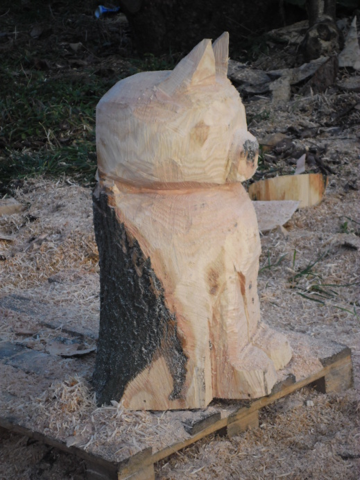 2012.11. - Kočička II. (4)