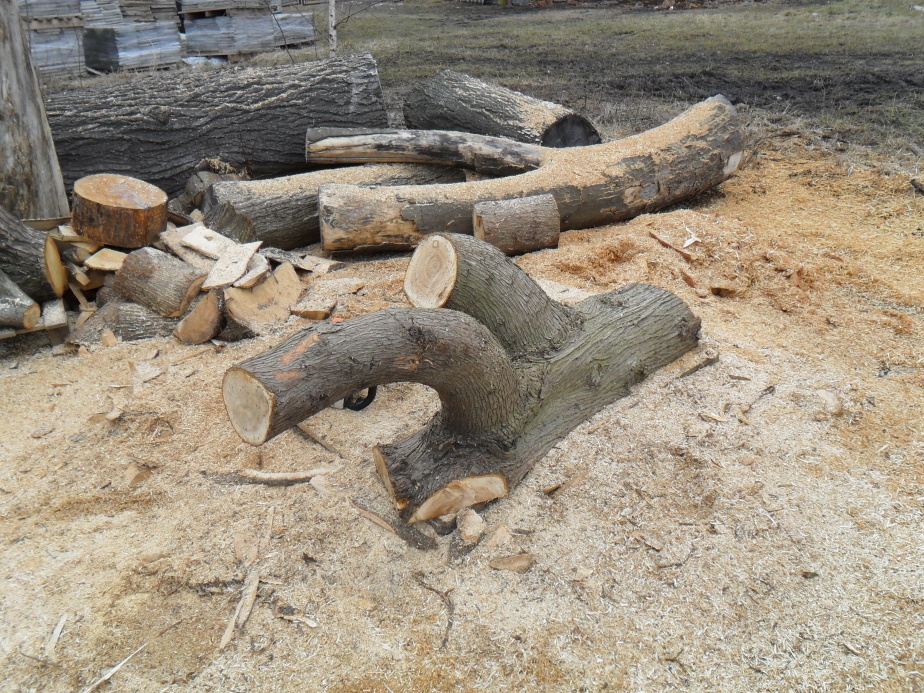 2012.03. - Šneci (1)