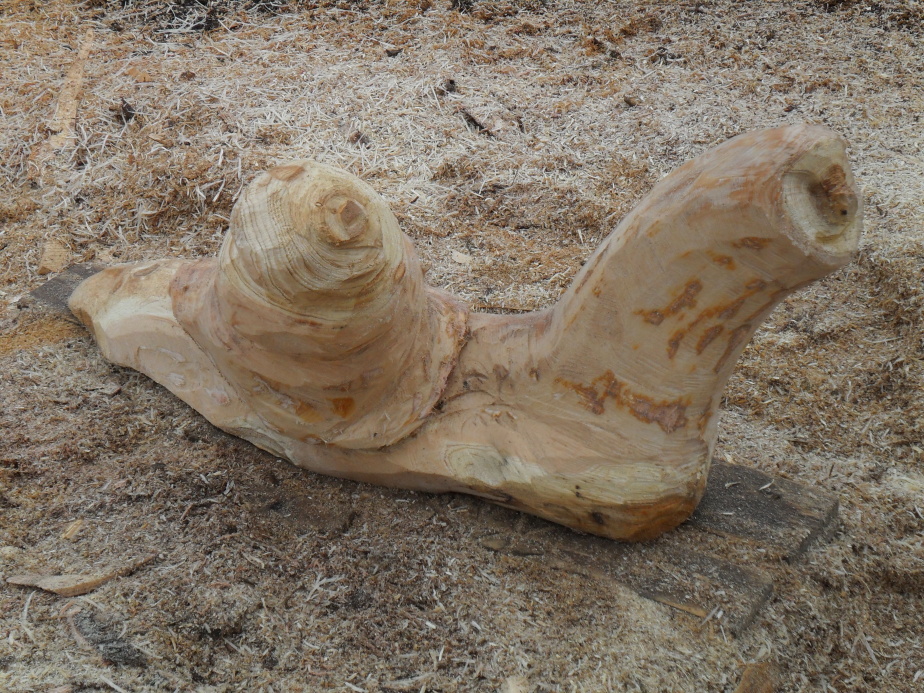 2012.03. - Šneci (7)