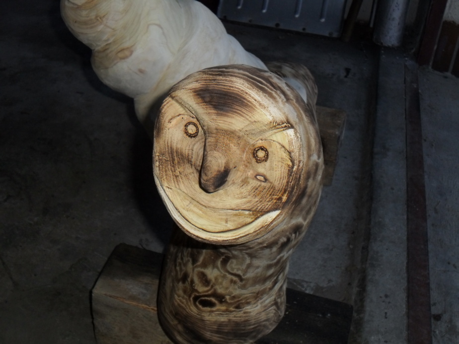 2012.03. - Šneci (26)