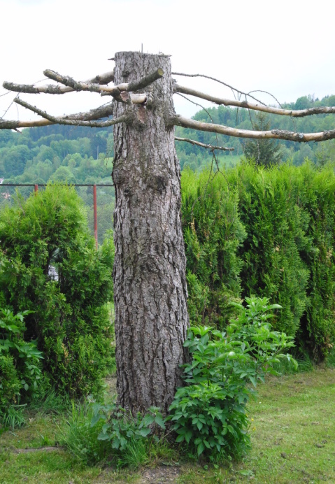 2013.05. - Hejkal (2)