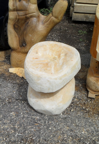 2013.07. Hříb odpočinkový (2)