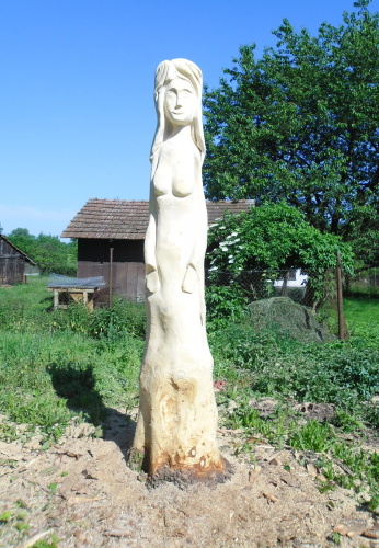 2013.06.-07. Oživlé pařezy (10)