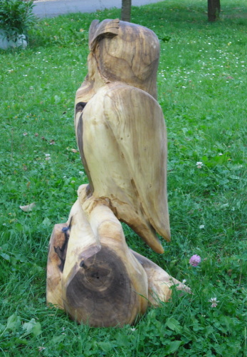 2013.09. Sova VI (8)