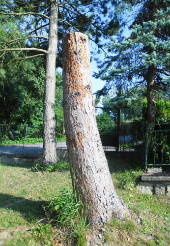 2013.08. Víla II (1)