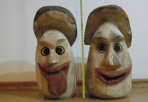 2014.02. - Houby (3)