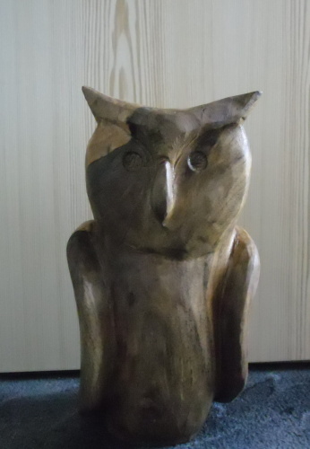 2014.01. Sova VII (1)