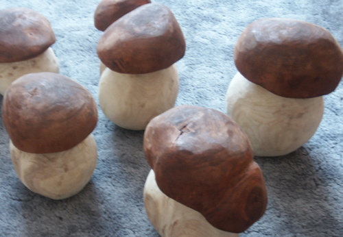 2010 .01. - Houby (2)