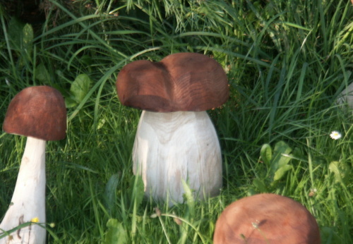 2010. 08. - Houby (7)