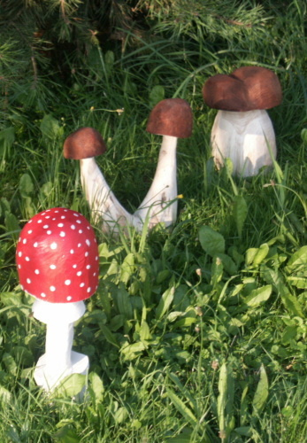 2010. 08. - Houby (14)