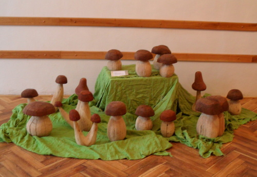 2010. 12. - Houby (1)