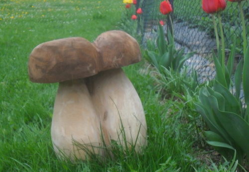 2011. 04. - 05. - Houby (1)