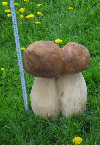 2011. 04. - 05. - Houby (8)