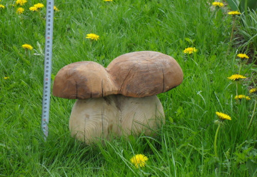 2011. 04. - 05. - Houby (9)