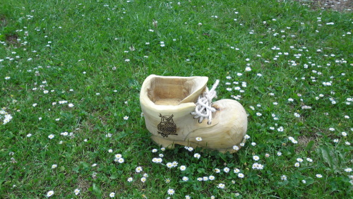 2012.05. Bota se sovou (1)