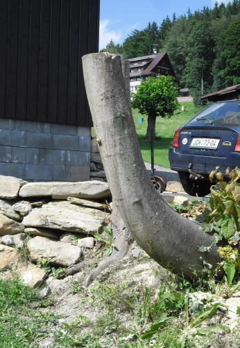 2014.08. Ptáčci (1)