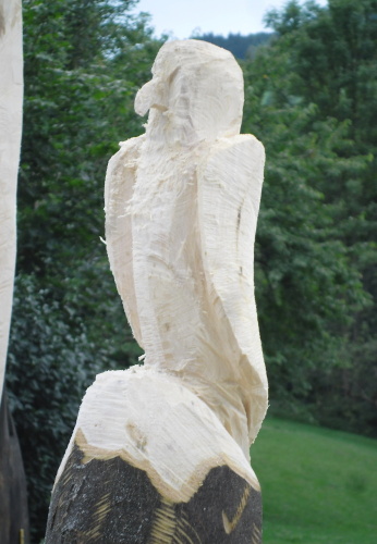 2014.08. Ptáčci (5)