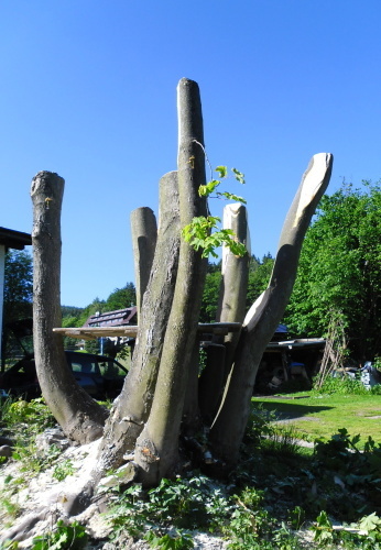 2014.06.-08. Chobotnice (3)