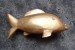 2020.06. Zlatá rybka (6)